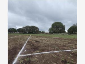 Terreno en venta en San Miguel Regla, Huasca de Ocampo — foto 3 de 5
