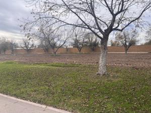 Terreno en venta en Las Villas, Torreón — foto 2 de 6