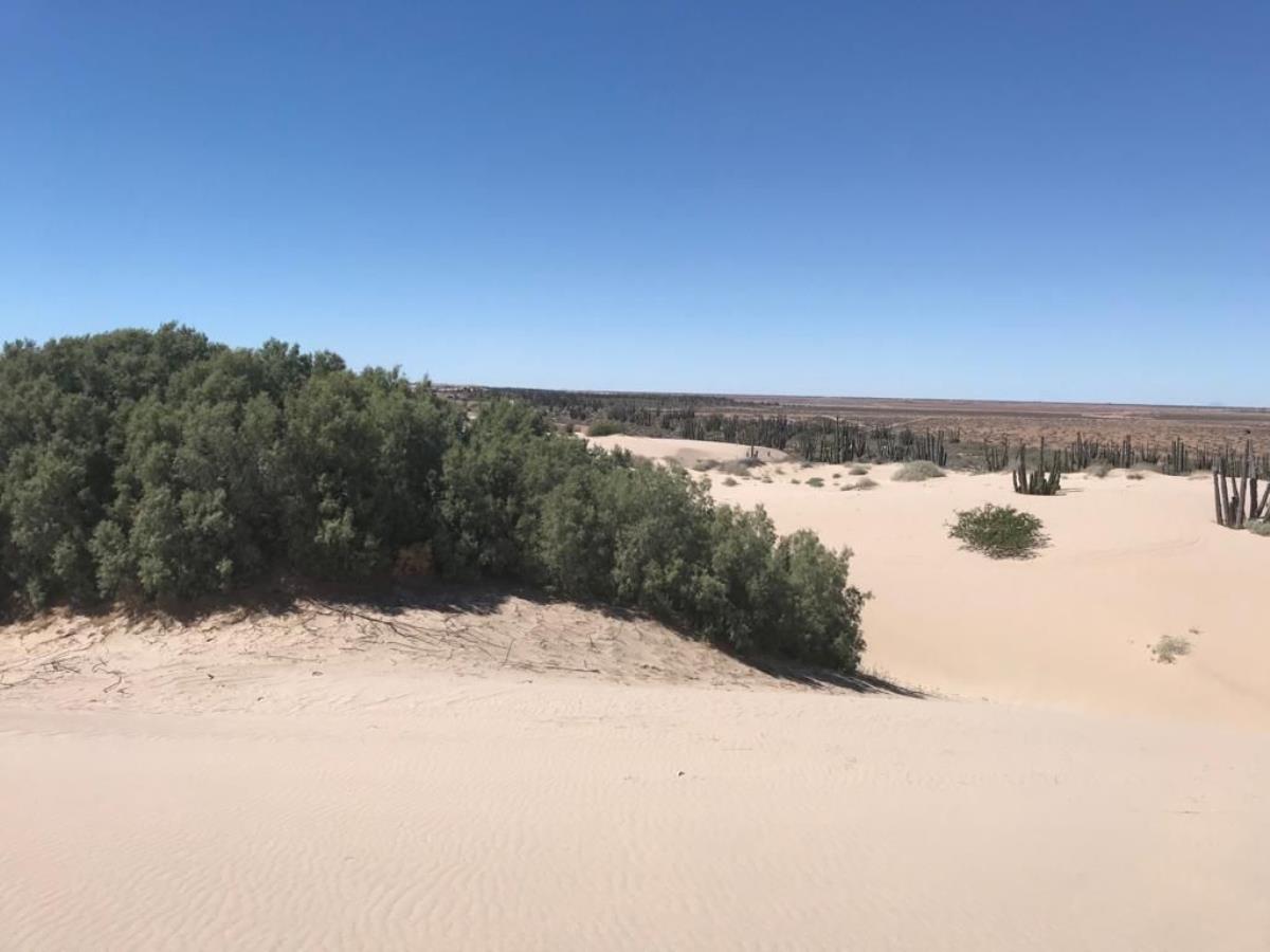 Terreno en venta en Bahia de Kino Centro, Hermosillo — foto 1 de 4