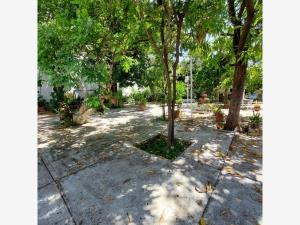 Terreno en venta en Miguel Hidalgo, Culiacán — foto 3 de 3
