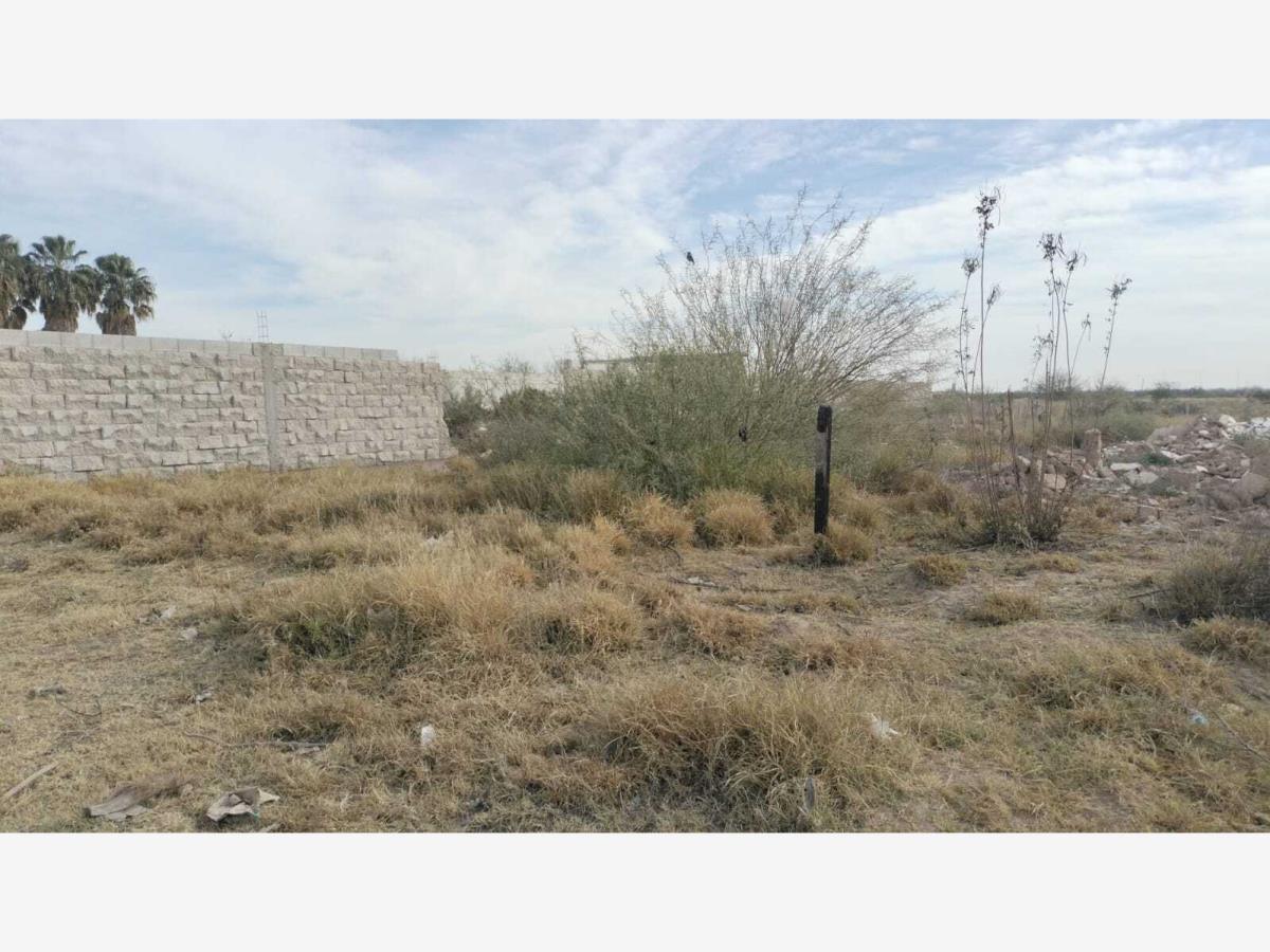 Terreno en Venta en El Pacifico, Torreón, Coahuila de Zaragoza