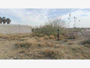 Terreno en venta en El Pacifico, Torreón, Coahuila de Zaragoza