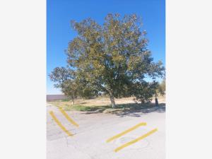 Terreno en venta en San Armando, Torreón — foto 2 de 4