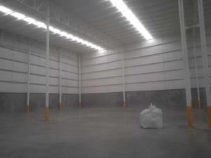 Bodega en renta en Albia, Torreón, Coahuila de Zaragoza