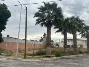 Terreno en venta en Residencial Campestre la Rosita, Torreón — foto 3 de 12