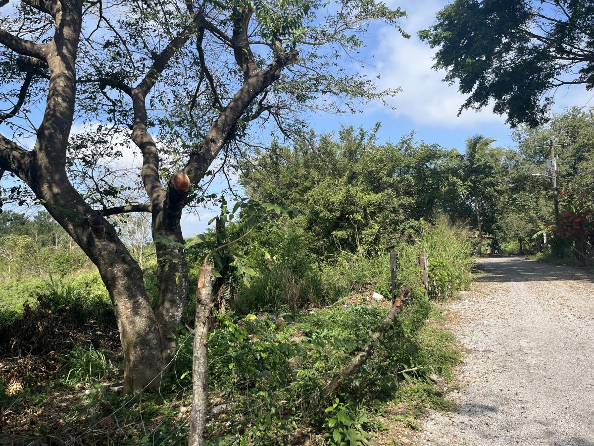 Terreno en venta en Paso Colorado, Boca del Río — foto 1 de 21