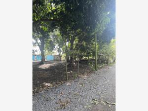 Terreno en venta en Paso Colorado, Boca del Río — foto 3 de 21