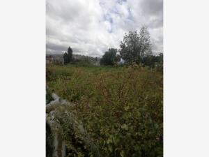 Terreno en renta en Calacoaya, Atizapán de Zaragoza — foto 3 de 8