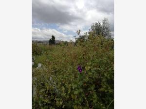 Terreno en renta en Calacoaya, Atizapán de Zaragoza — foto 2 de 8