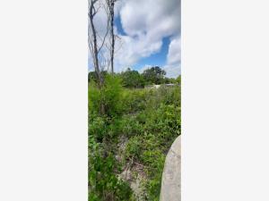 Terreno en venta en San Juan Izamal, Izamal — foto 3 de 17