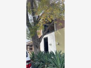Departamento en renta en Nueva los Angeles, Torreón — foto 2 de 11