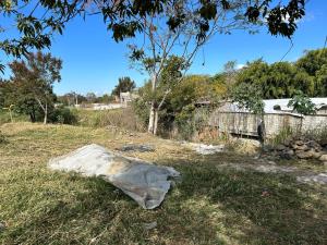 Terreno en venta en Mexquemeca, Yecapixtla — foto 2 de 4