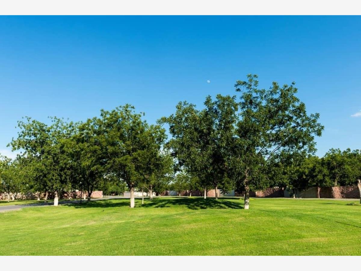 Terreno en venta en Las Trojes, Torreón — foto 1 de 7