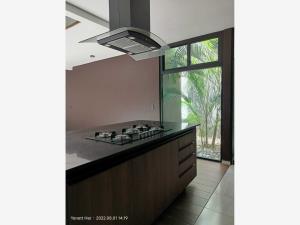 Casa en renta en San Ángel, Centro — foto 2 de 13