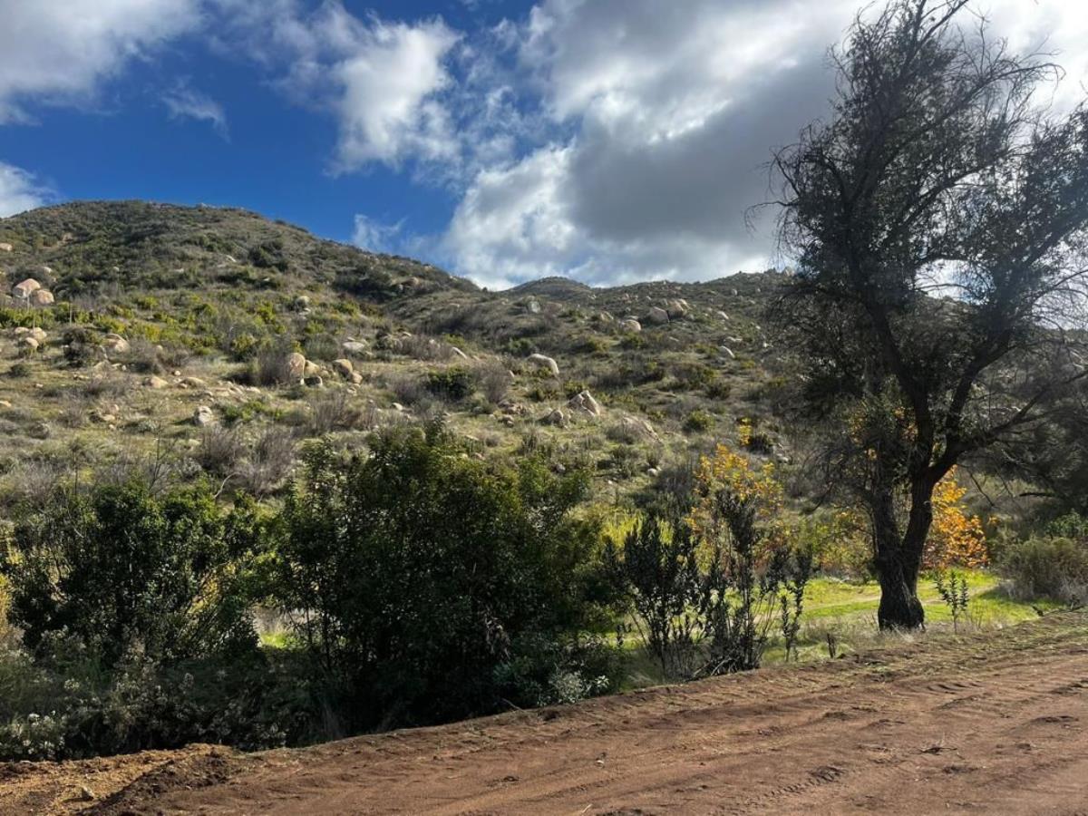 Terreno en venta en Francisco Zarco (Valle de Guadalupe), Ensenada — foto 1 de 17