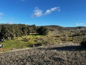 Terreno en venta en Francisco Zarco (Valle de Guadalupe), Ensenada — foto 3 de 17