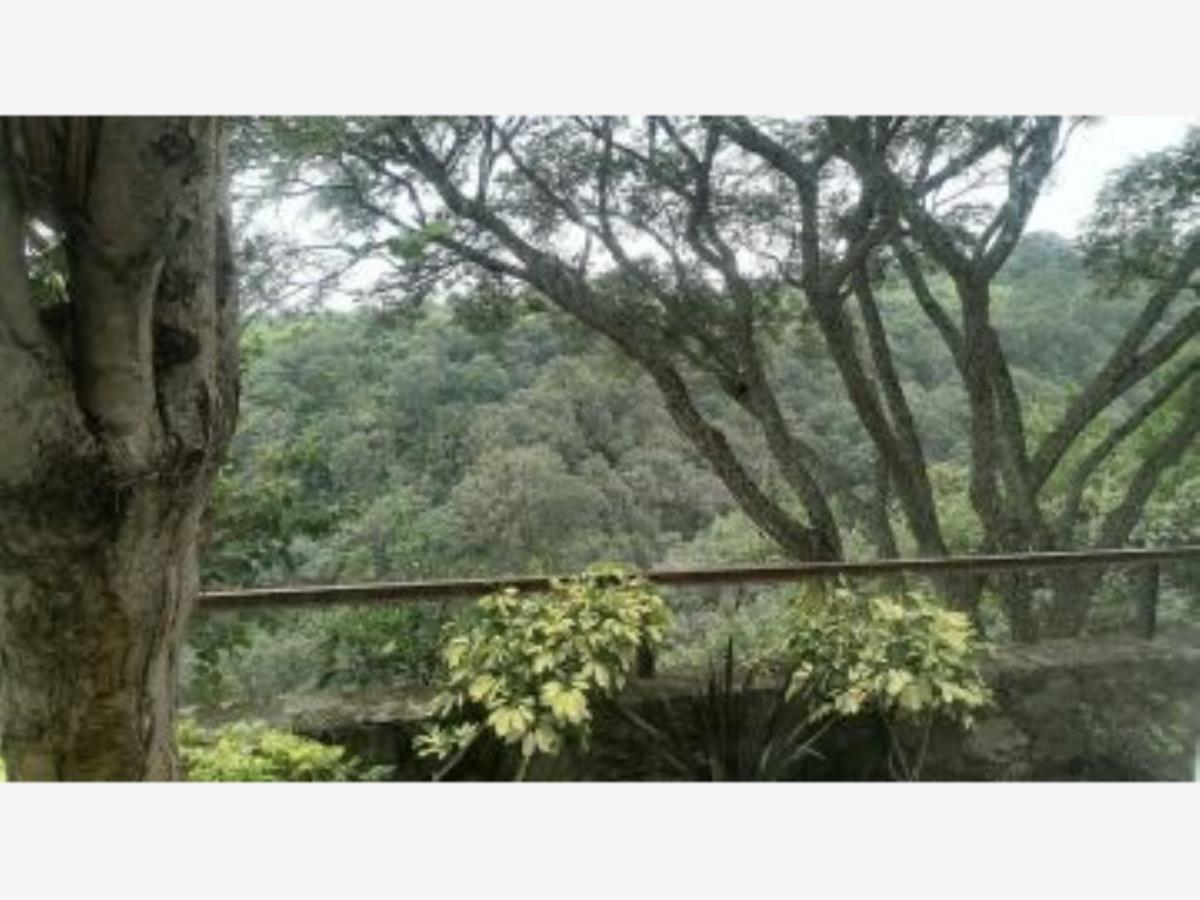 Departamento en renta en Lomas de Atzingo, Cuernavaca — foto 1 de 32