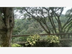 Departamento en renta en Lomas de Atzingo, Cuernavaca, Morelos