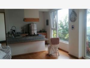 Departamento en renta en Lomas de Atzingo, Cuernavaca — foto 3 de 32
