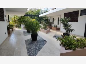 Departamento en renta en Cabo Norte, Mérida — foto 2 de 28