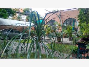 Casa en venta en Cuernavaca Centro, Cuernavaca — foto 2 de 44