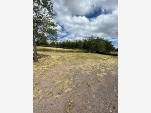 Terreno en venta en Country Club Gran Jardín, León — foto 3 de 5