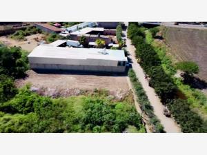 Terreno en venta en Patria, El Grullo — foto 2 de 5