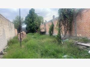Terreno en venta en Eduardo Guerra, Torreón — foto 2 de 6