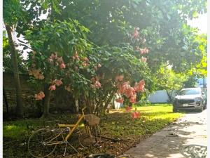 Terreno en venta en Ignacio Zaragoza, Veracruz — foto 3 de 5