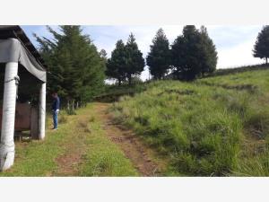Terreno en venta en San Miguel Almaya, Capulhuac — foto 2 de 17