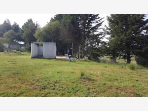 Terreno en venta en San Miguel Almaya, Capulhuac — foto 3 de 17