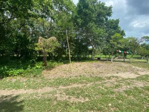 Terreno en venta en Independencia 2da. Sección, Comalcalco — foto 3 de 3