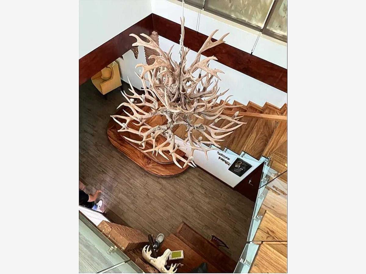Casa en venta en Colinas de San Miguel, Culiacán — foto 1 de 9