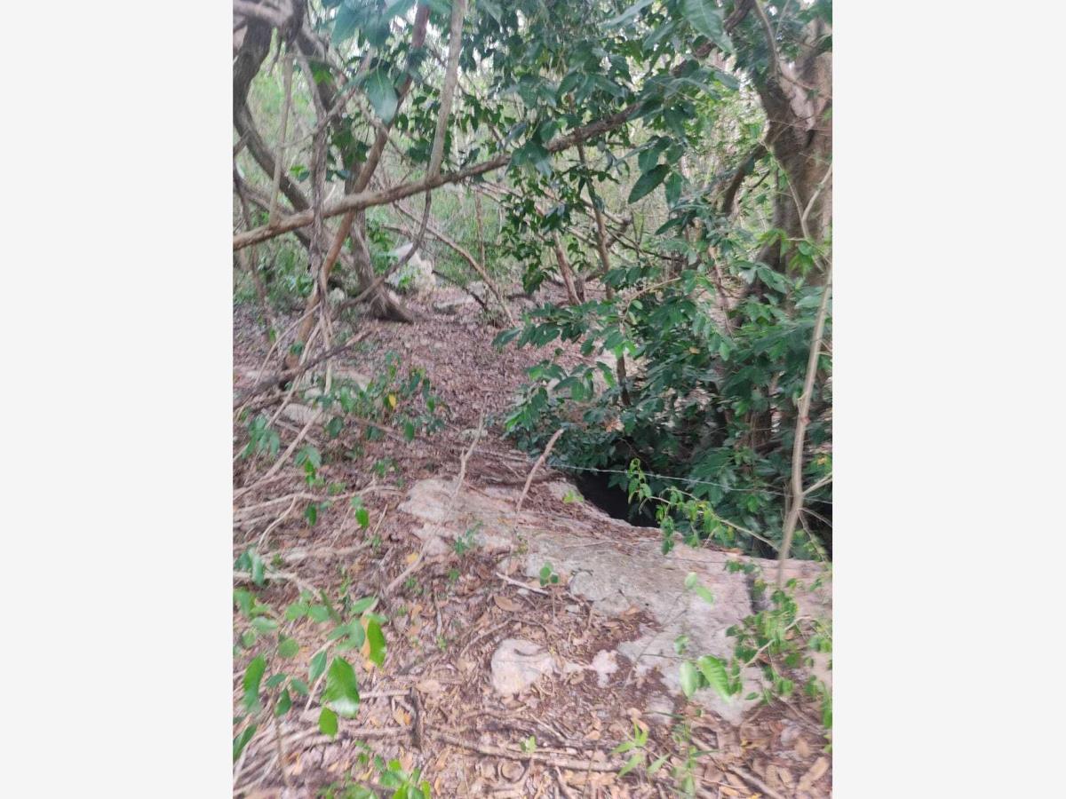 Terreno en venta en Baca, Baca — foto 1 de 5