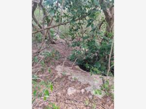 Terreno en venta en Baca, Baca, Yucatán