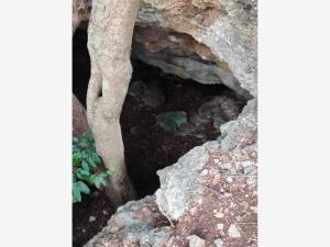 Terreno en venta en Baca, Baca — foto 3 de 5