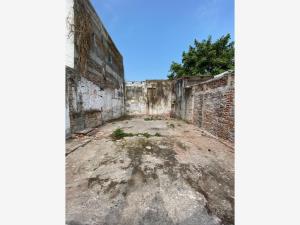Terreno en venta en Ricardo Flores Magón, Veracruz — foto 3 de 11