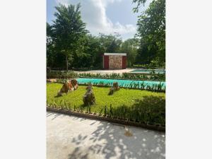 Finca-Rancho en venta en Samahil, Samahil — foto 2 de 15