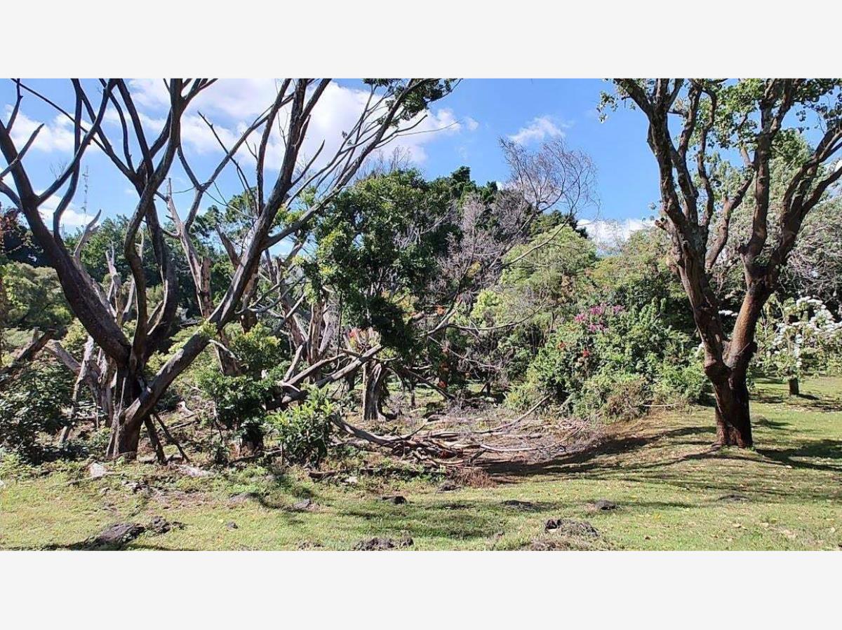Terreno en venta en Buenavista, Cuernavaca — foto 1 de 16