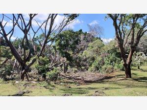 Terreno en venta en Buenavista, Cuernavaca, Morelos