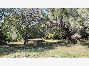 Terreno en venta en Buenavista, Cuernavaca — foto 2 de 16