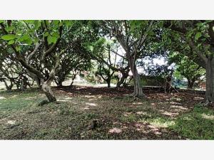 Terreno en venta en Buenavista, Cuernavaca — foto 3 de 16