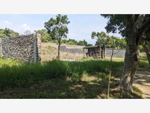 Terreno en venta en Lomas de Vista Hermosa, Cuernavaca — foto 3 de 7