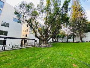 Departamento en venta en San Jerónimo, Cuernavaca — foto 3 de 23