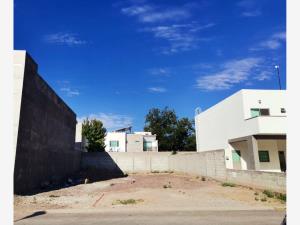 Terreno en venta en Las Trojes, Torreón — foto 2 de 5