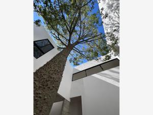 Casa en venta en Rancho Tetela, Cuernavaca — foto 3 de 10