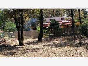 Terreno en venta en Los Ocotes, Tepoztlán — foto 2 de 6
