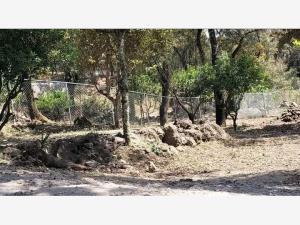 Terreno en venta en Los Ocotes, Tepoztlán — foto 3 de 6