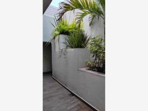 Casa en venta en Lomas de la Selva, Cuernavaca — foto 3 de 26
