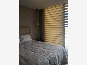 Departamento en renta en Residencial el Fresno, Torreón — foto 3 de 7